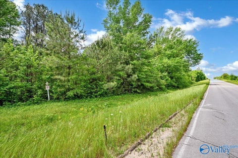 Vacant Land For Sale - LOT 1 East Lacon Road<br/> Falkville, AL 35622