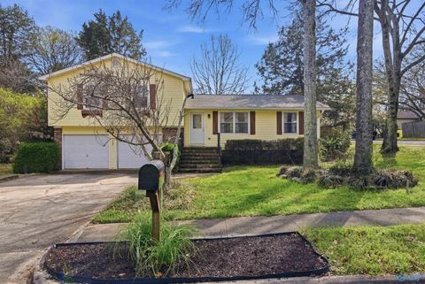 Homes For Sale - 1008 Vicksburg Lane<br/> Huntsville, AL 35803