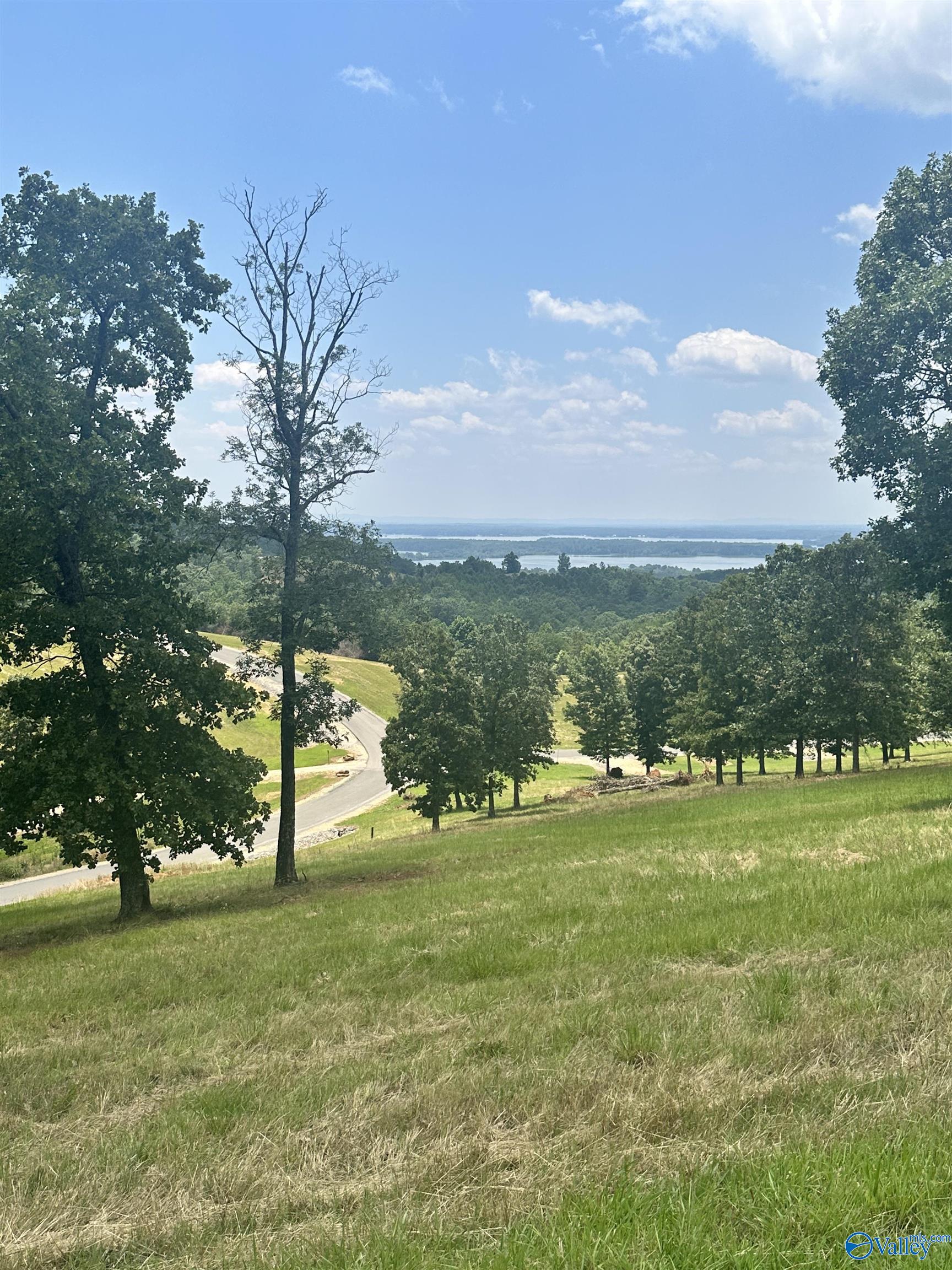 Lot 292 County Road 767, Cedar Bluff, Alabama image 4