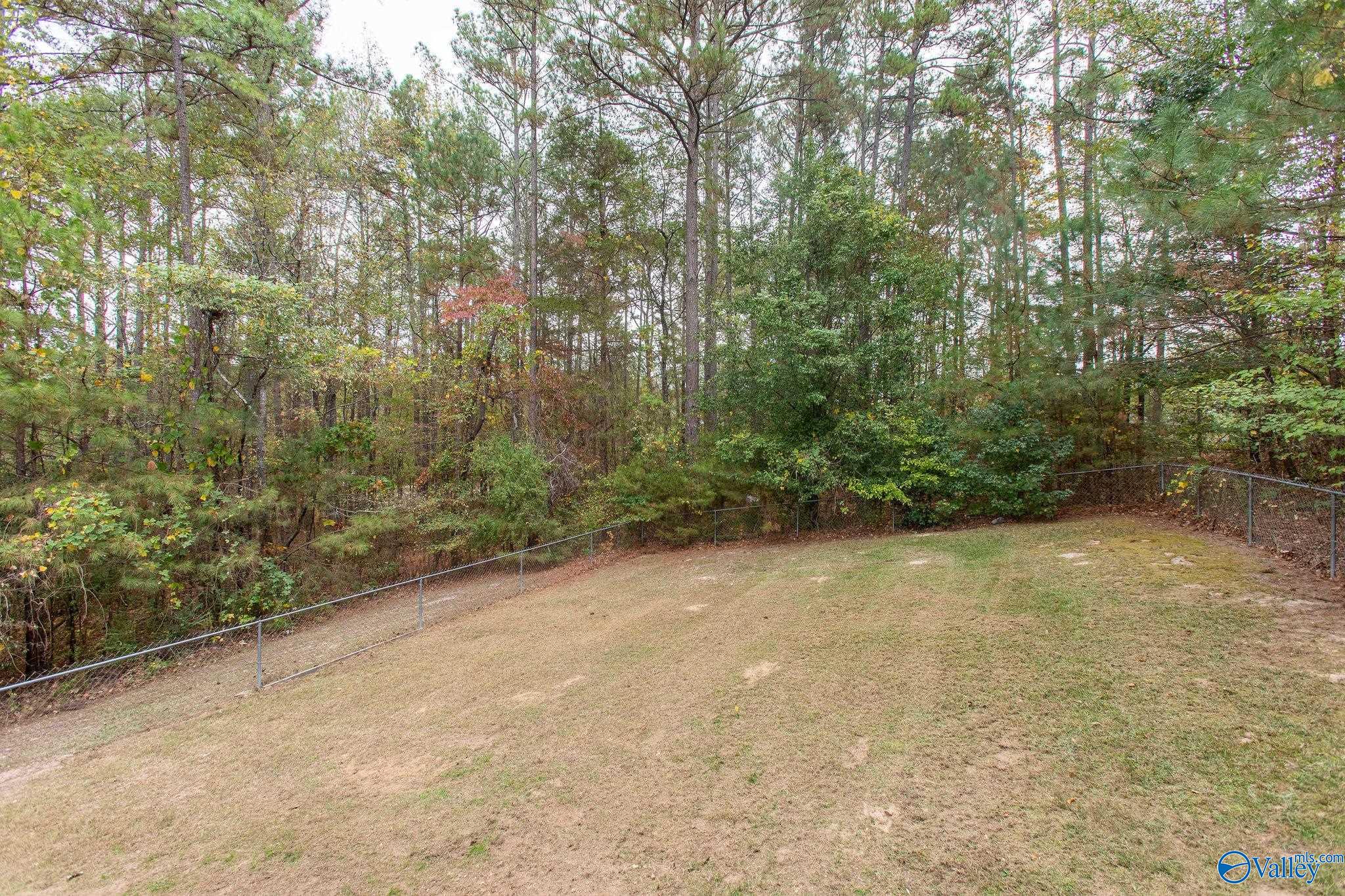 2865 Plymouth Rock Trail, Southside, Alabama image 33