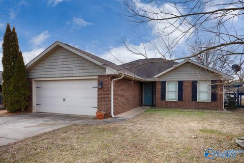 Photo of 244 Village Springs Drive, Madison, AL 35756 (MLS # 21909177)