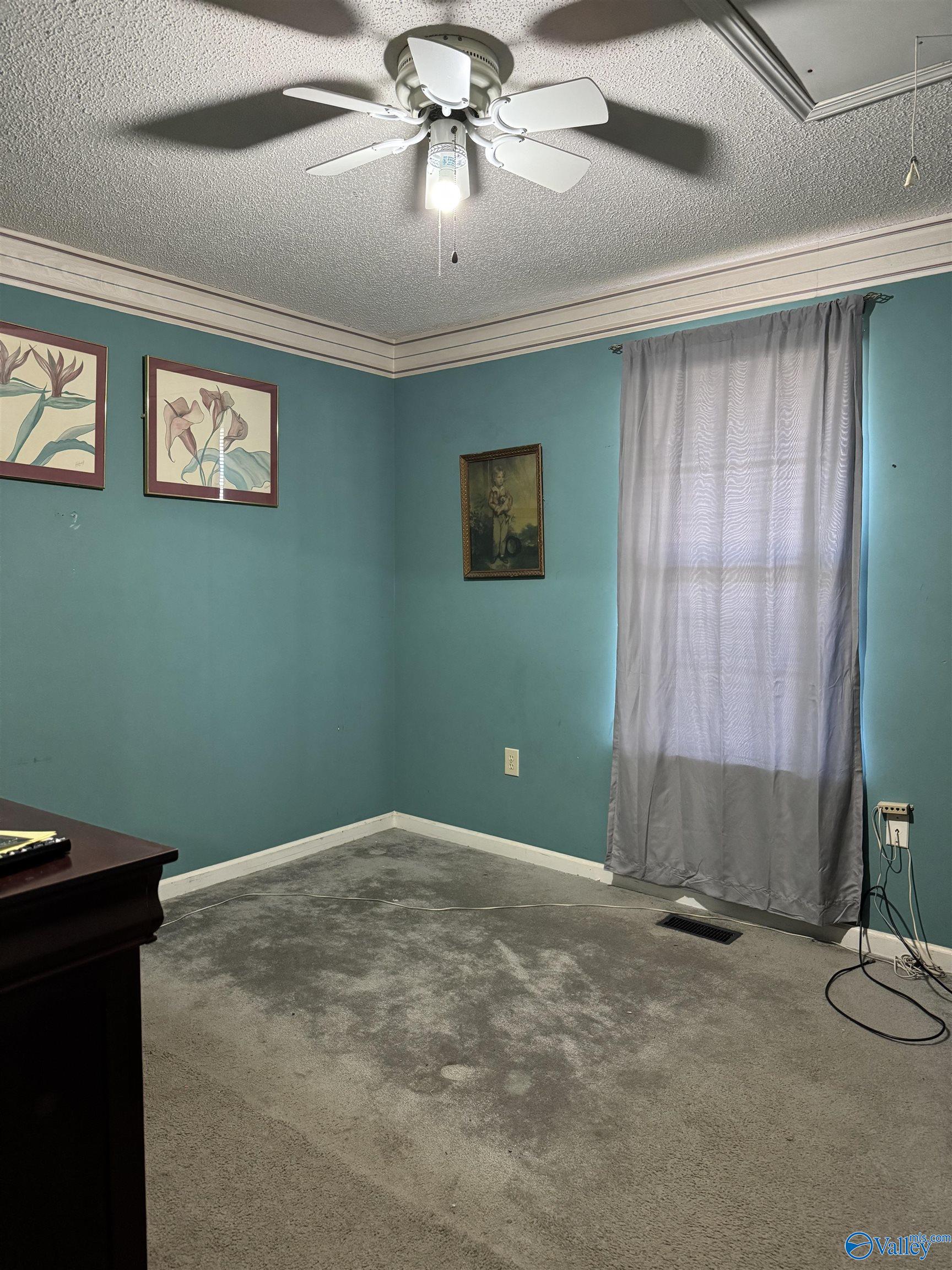 765 Ham Road, Albertville, Alabama image 7