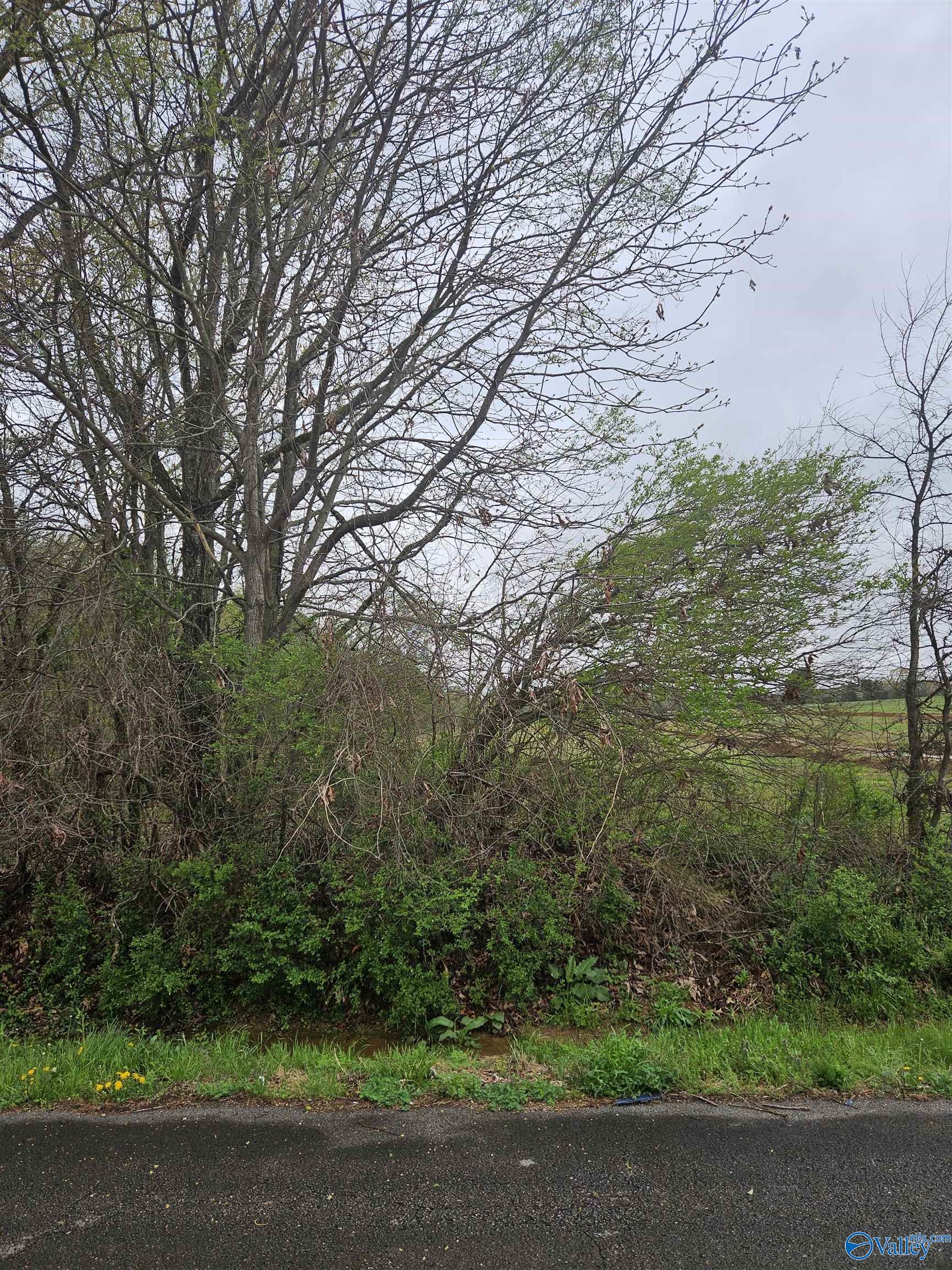 Lot 17 Treva Lane, Hazel Green, Alabama image 5