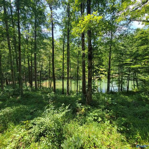Vacant Land For Sale - LOT 25 Legendary Parkway<br/> Arley, AL 35541