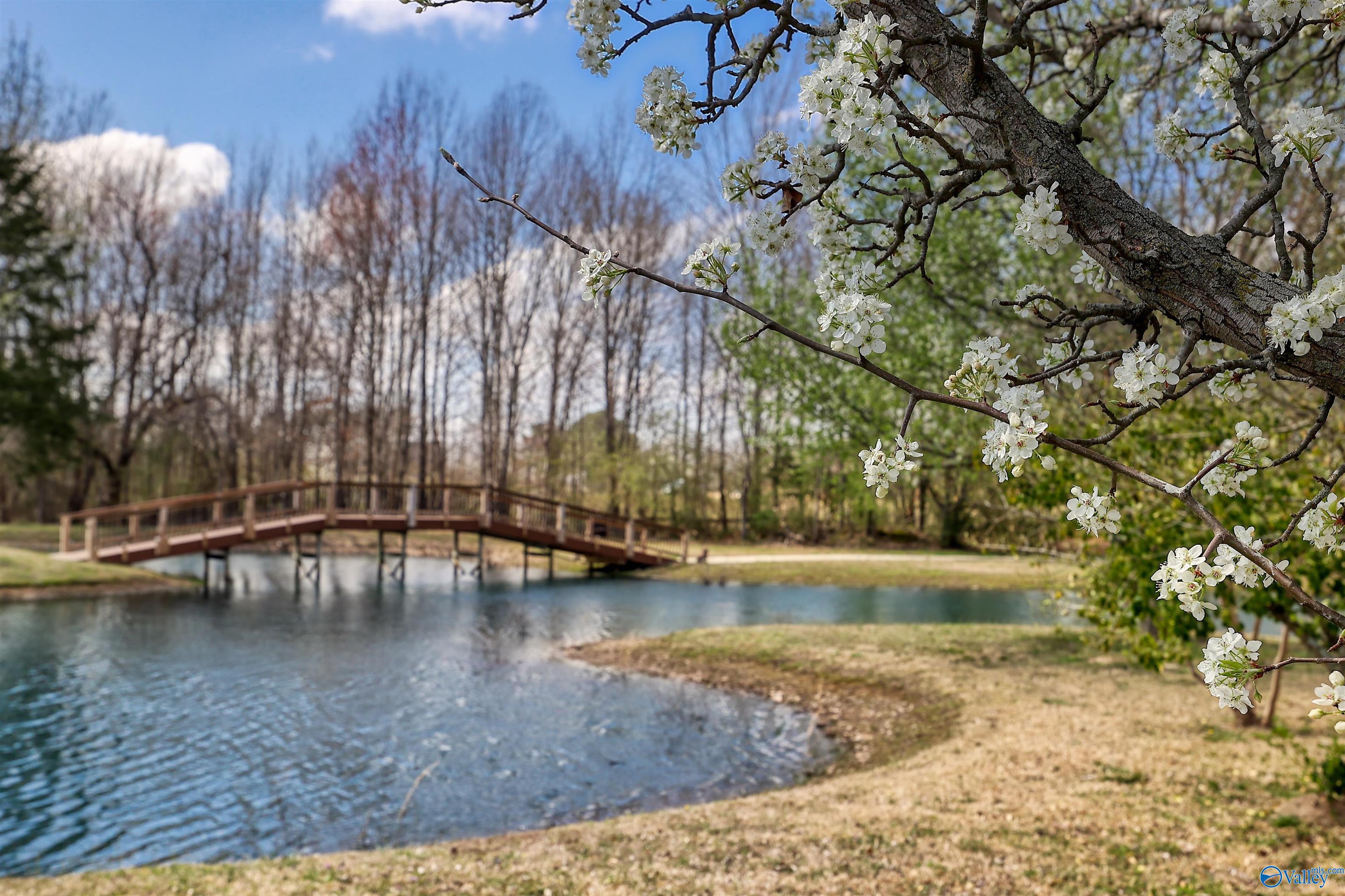 540 Mill Road, Madison, Alabama image 44