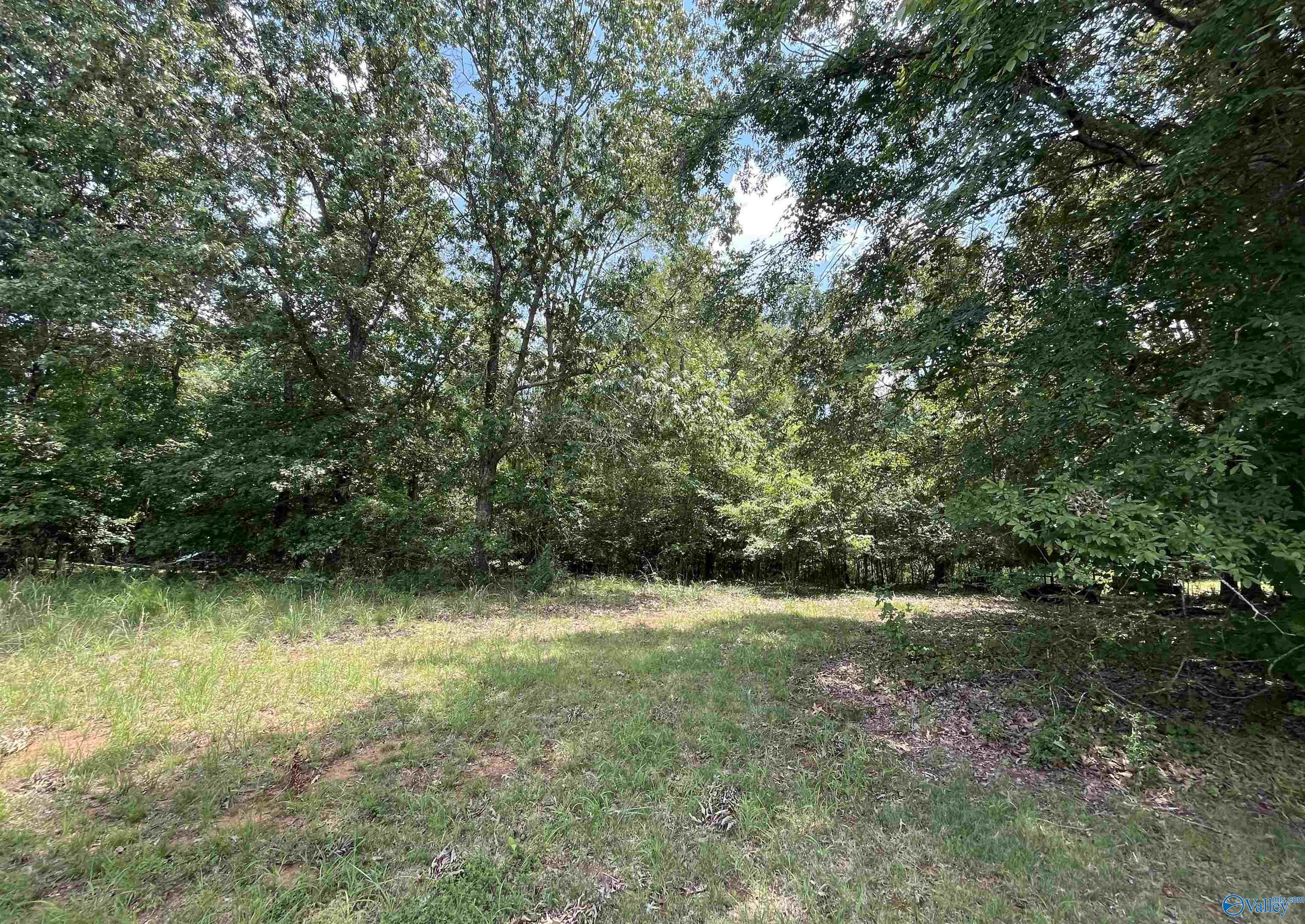 219 LOT Lookout Mountain Drive, Scottsboro, Alabama image 15