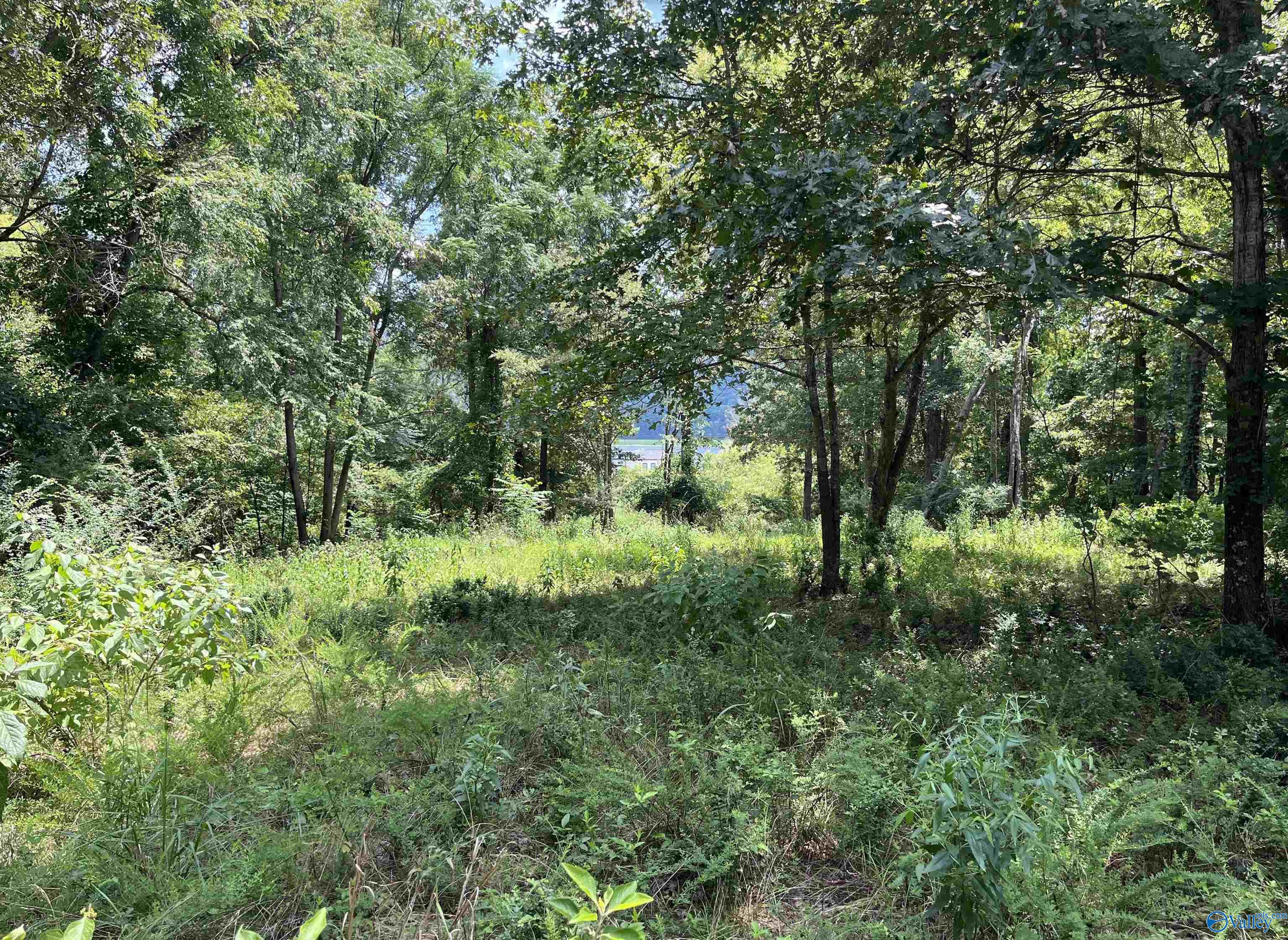 219 LOT Lookout Mountain Drive, Scottsboro, Alabama image 13