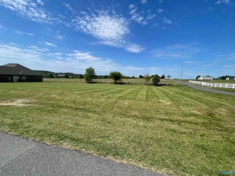 Vacant Land For Sale - 831 Cochran Avenue<br/> Albertville, AL 35951