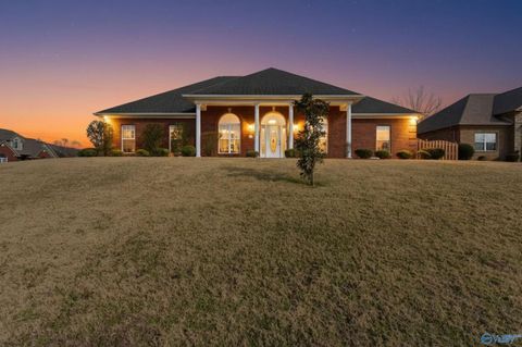 Homes For Sale - 107 Cherry Ridge Drive<br/> New Market, AL 35761