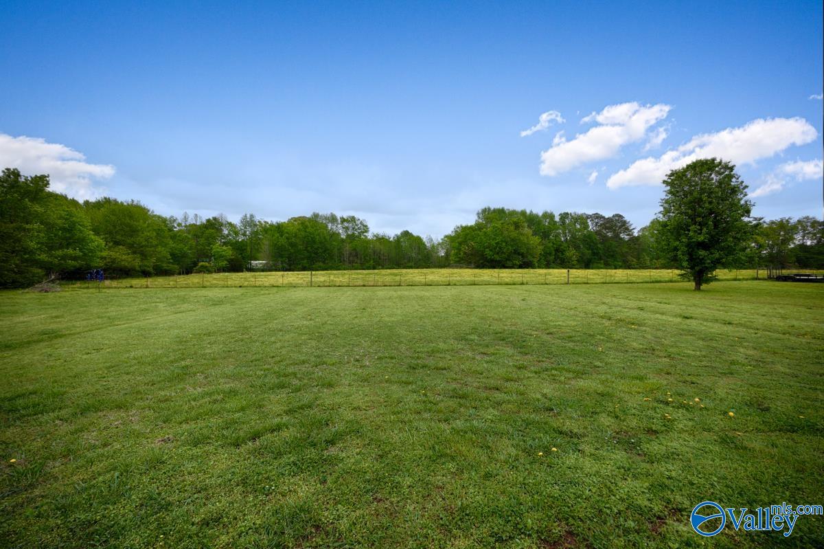255 Laid Back Lane, Hazel Green, Alabama image 31