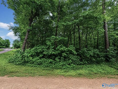 Vacant Land For Sale - LOT 37 County Road 683<br/> Cedar Bluff, AL 35959