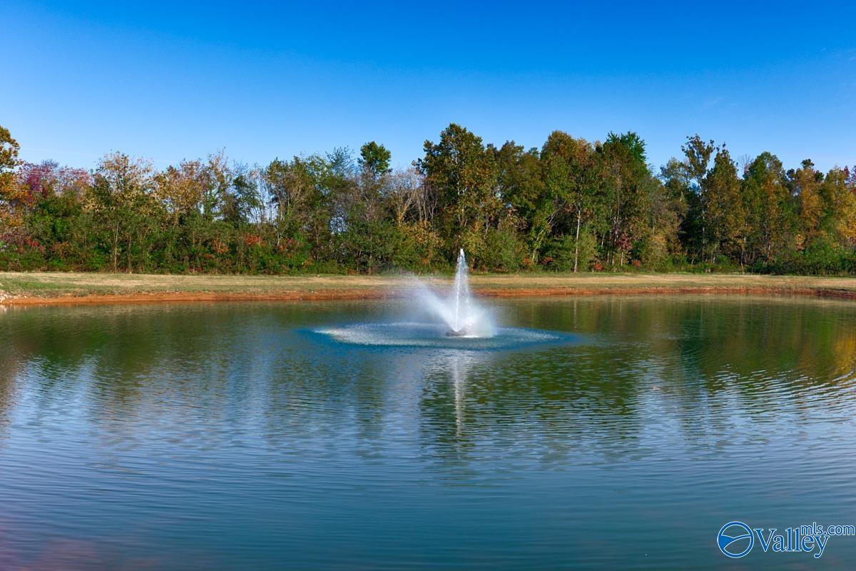 114 Duskwood Drive, Harvest, Alabama image 41