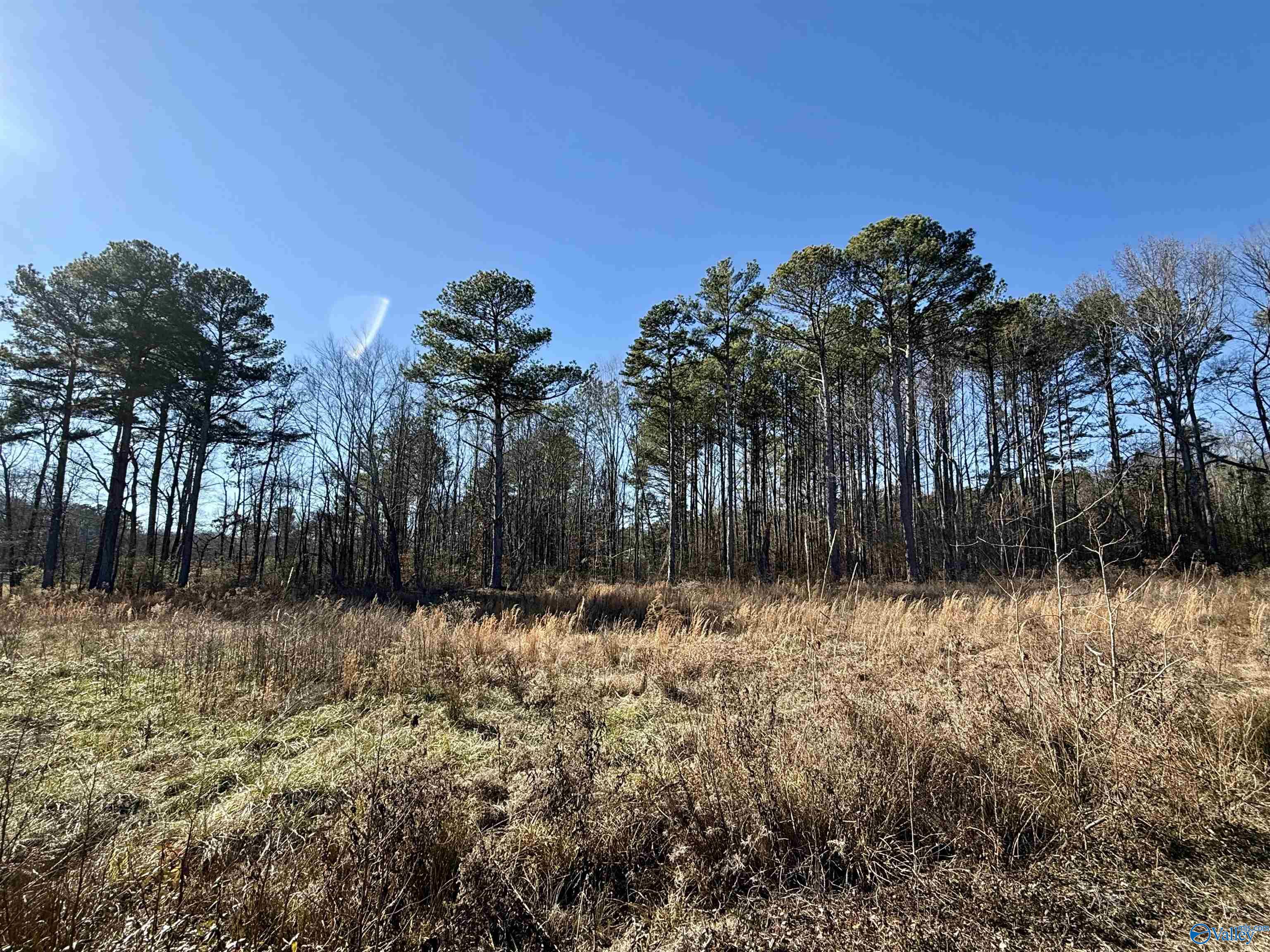 Lot 25 Chambers Road, Arab, Alabama image 2