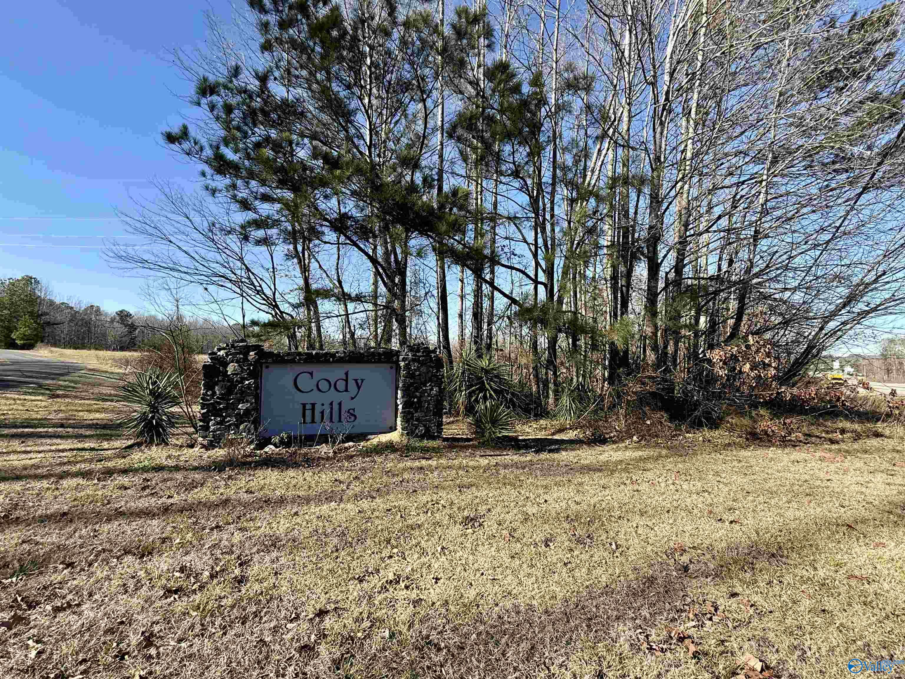 Lot 25 Chambers Road, Arab, Alabama image 3