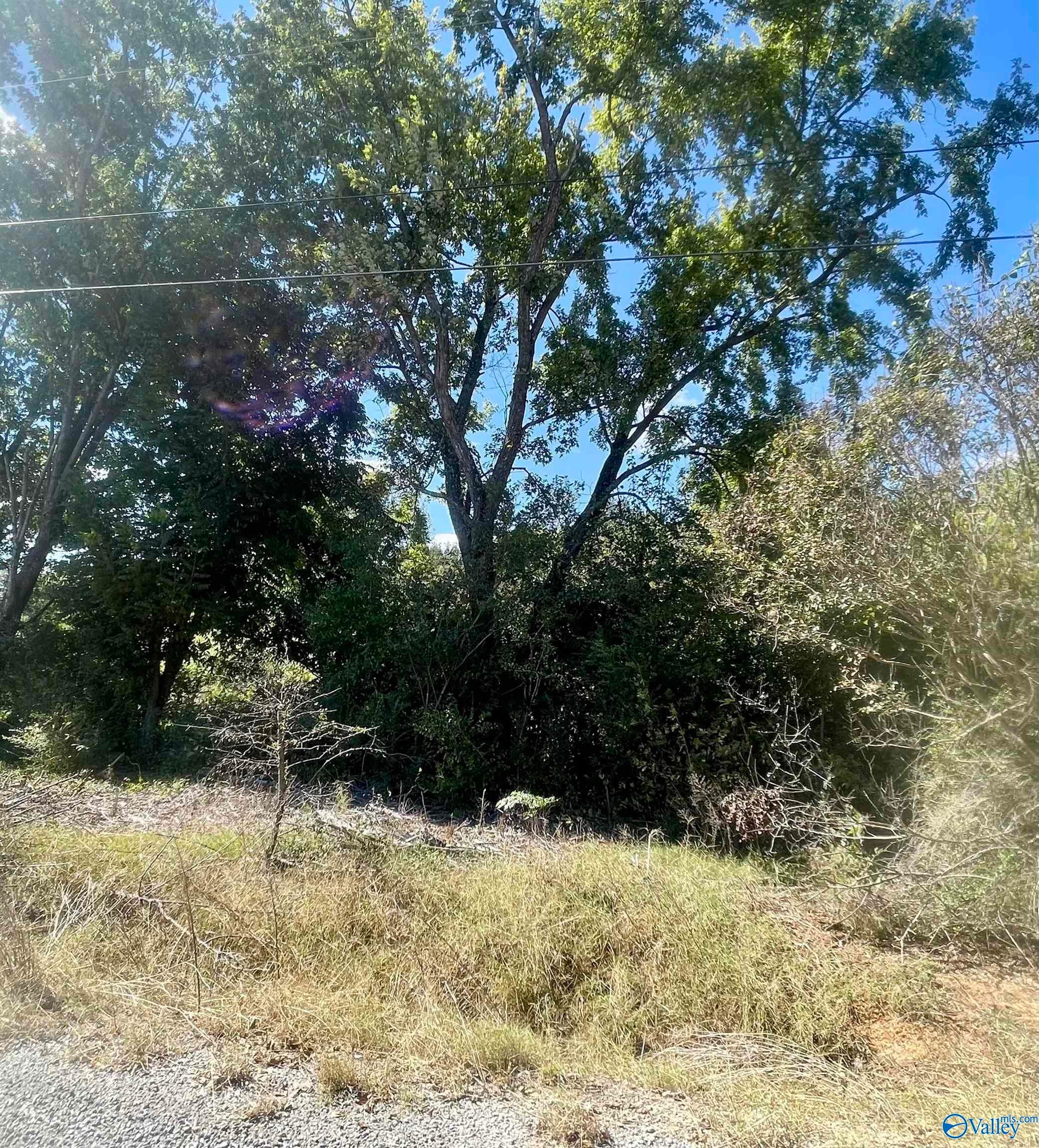 1443 County Road 436
