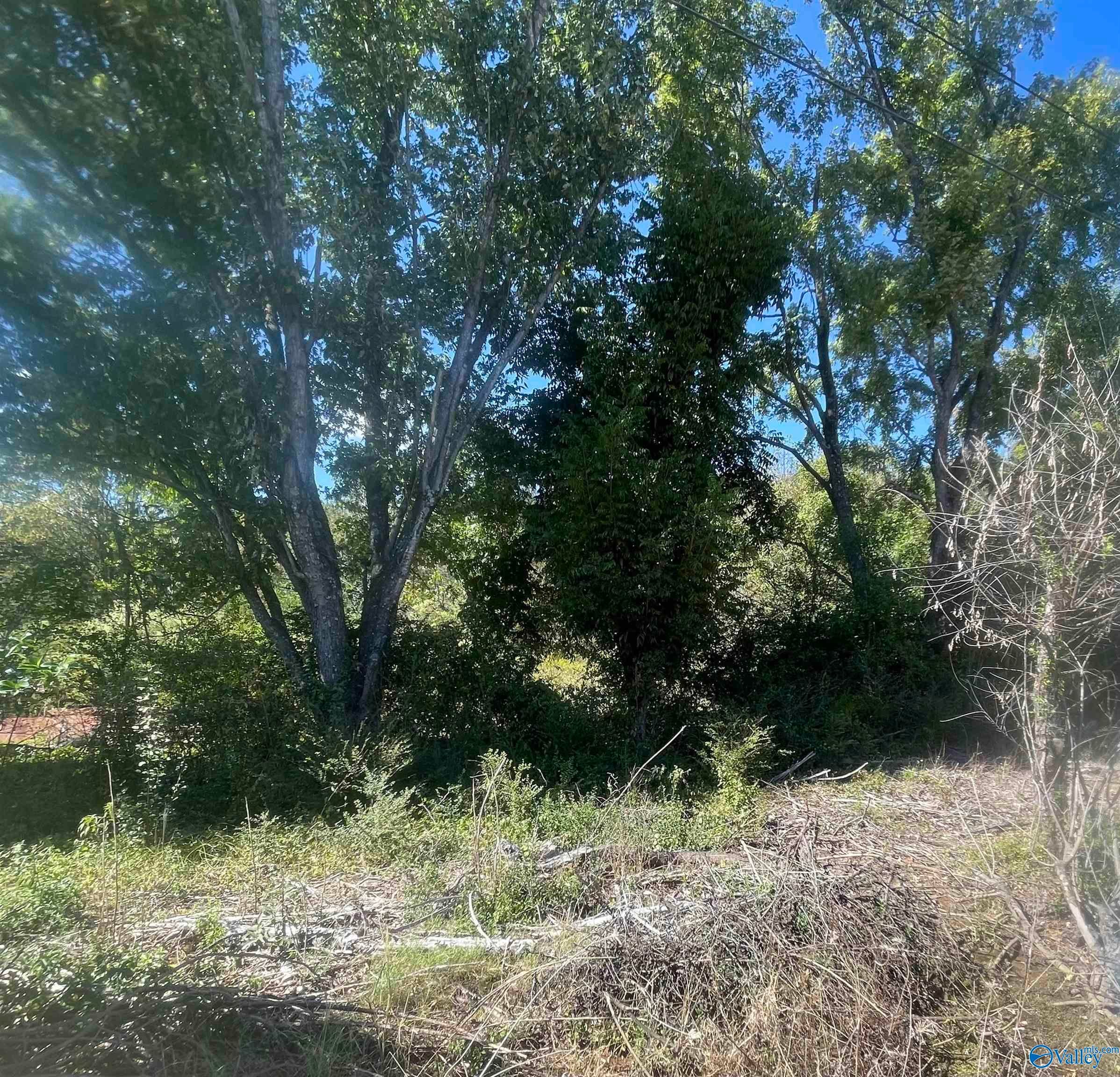 1443 County Road 436