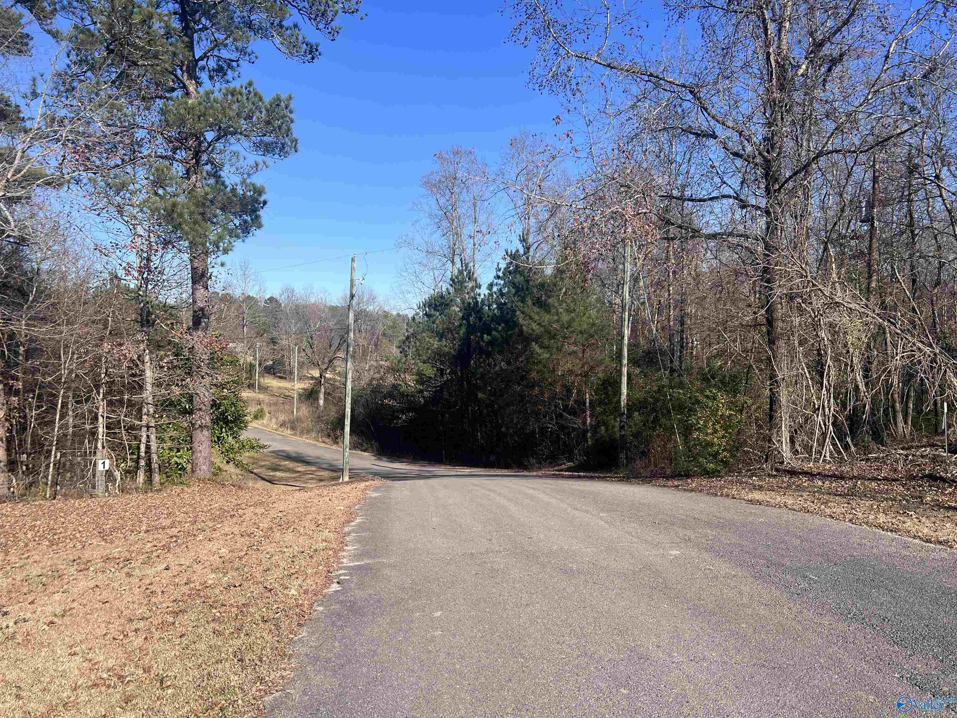 Lot 1 Rock Spring Road, Warrior, Alabama image 3