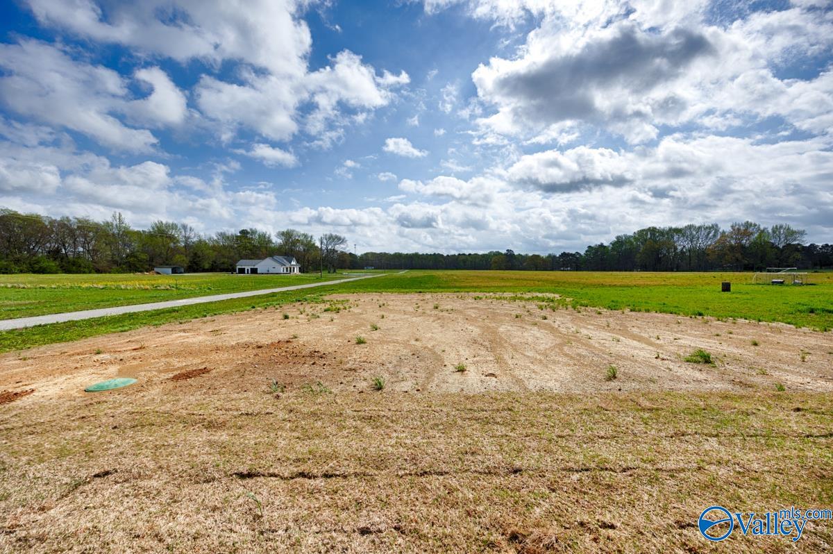 25702 Beulah Road, Elkmont, Alabama image 5