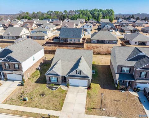 Photo of 145 Morning Dew Road, Toney, AL 35773 (MLS # 21909484)