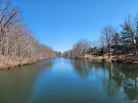 Vacant Land For Sale - LOT 85 County Road 839<br/> Cherokee County, Mentone, AL 35984