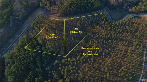 Vacant Land For Sale - LOTS A9 AND A10 County Road 155<br/> Cherokee County, Centre, AL 35960
