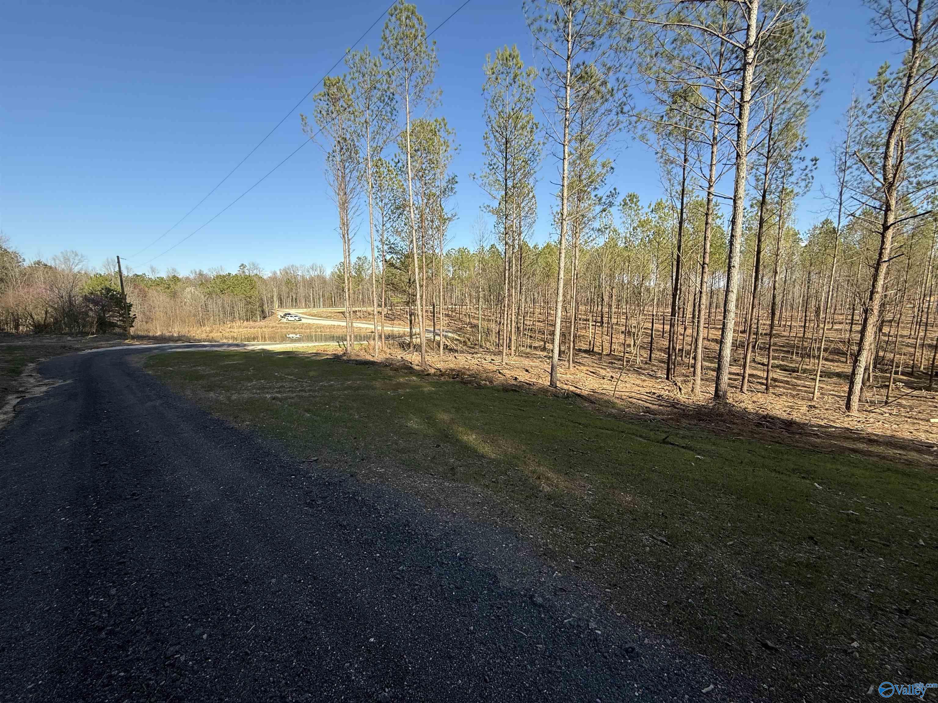 Lots A9 And A10 County Road 155, Centre, Alabama image 5