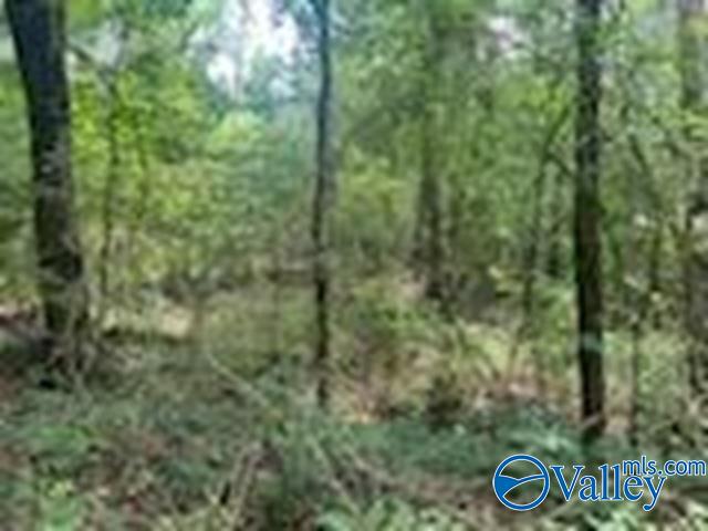 1.78 Ac County Road 427, Fort Payne, Alabama image 2