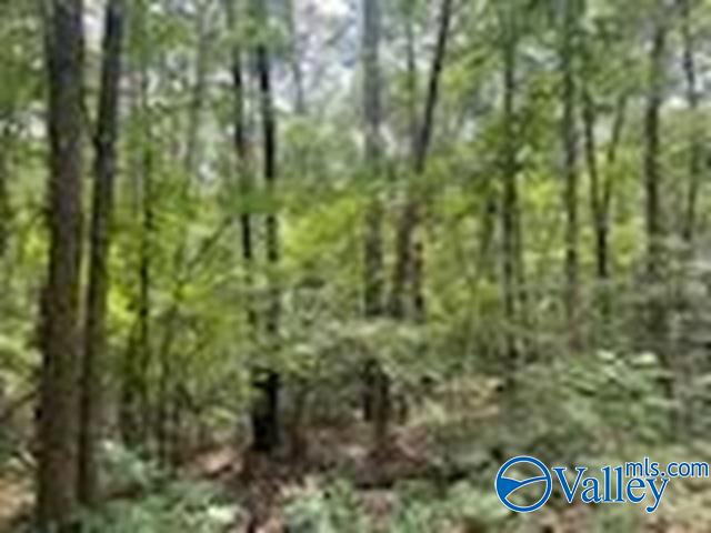 1.78 Ac County Road 427, Fort Payne, Alabama image 1