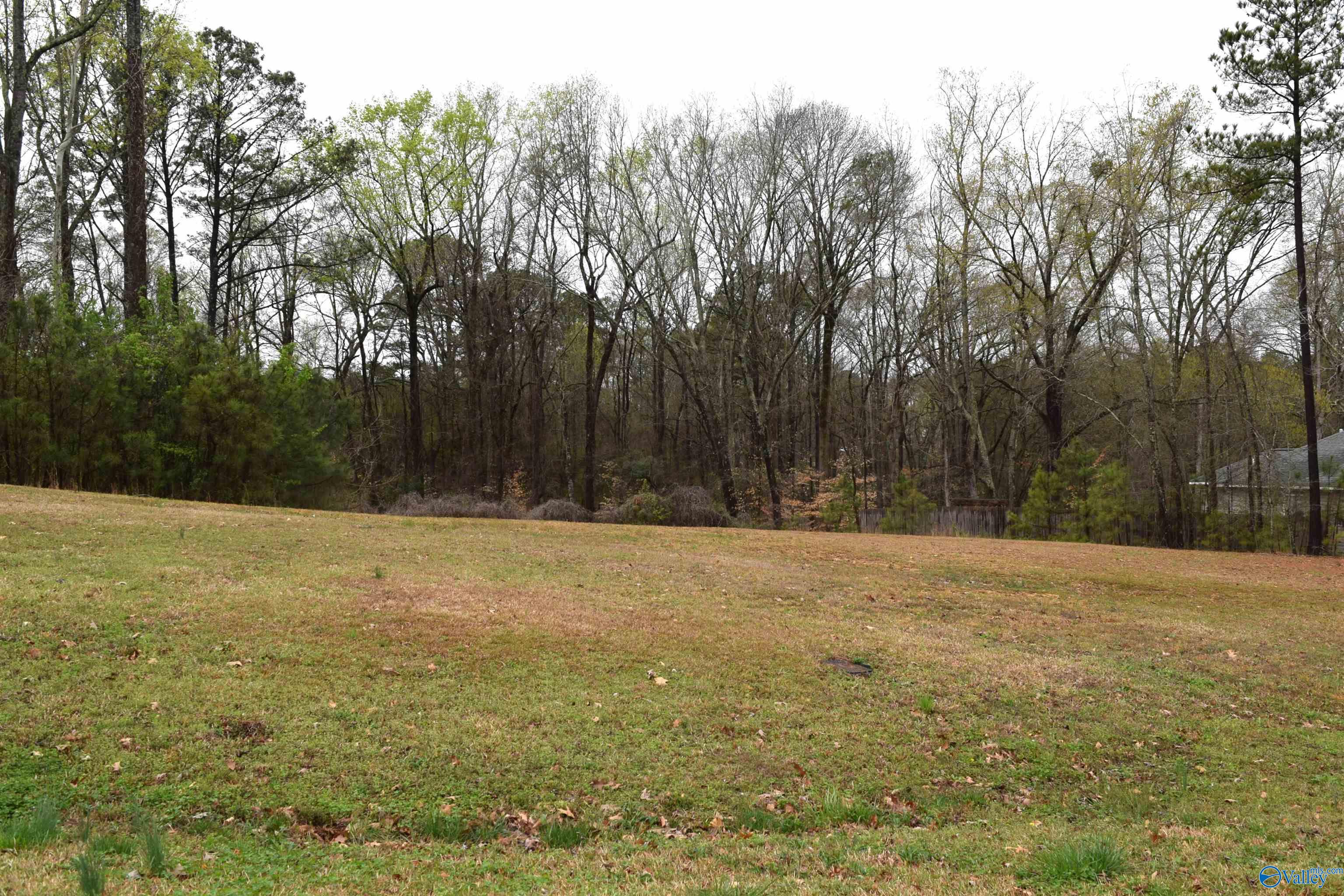 Lot 21 Cheyenne Drive, Southside, Alabama image 3