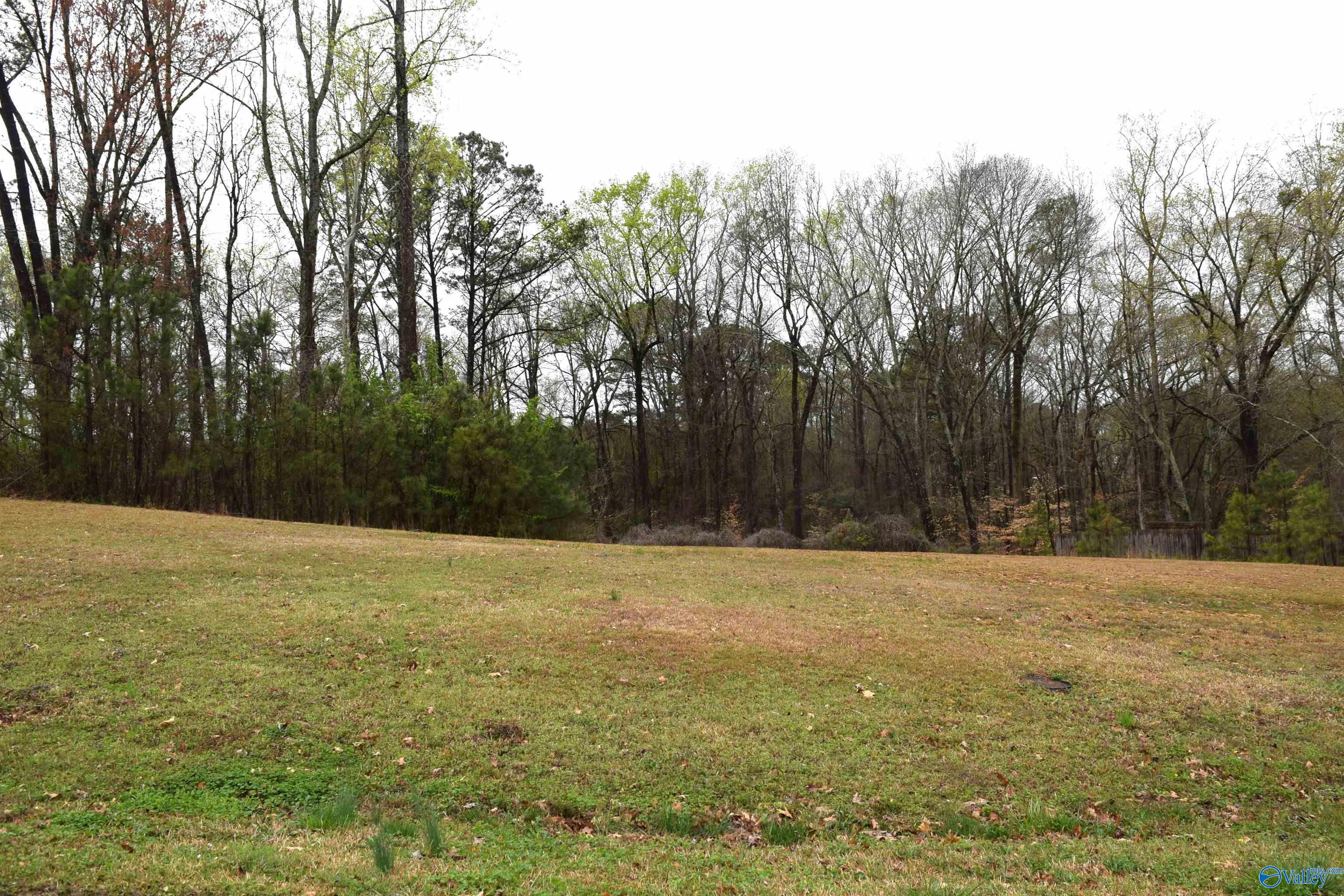 Lot 21 Cheyenne Drive, Southside, Alabama image 1