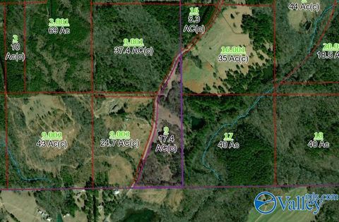 Vacant Land For Sale - 3124 County Road 6<br/> Dekalb County, Collinsville, AL 35961