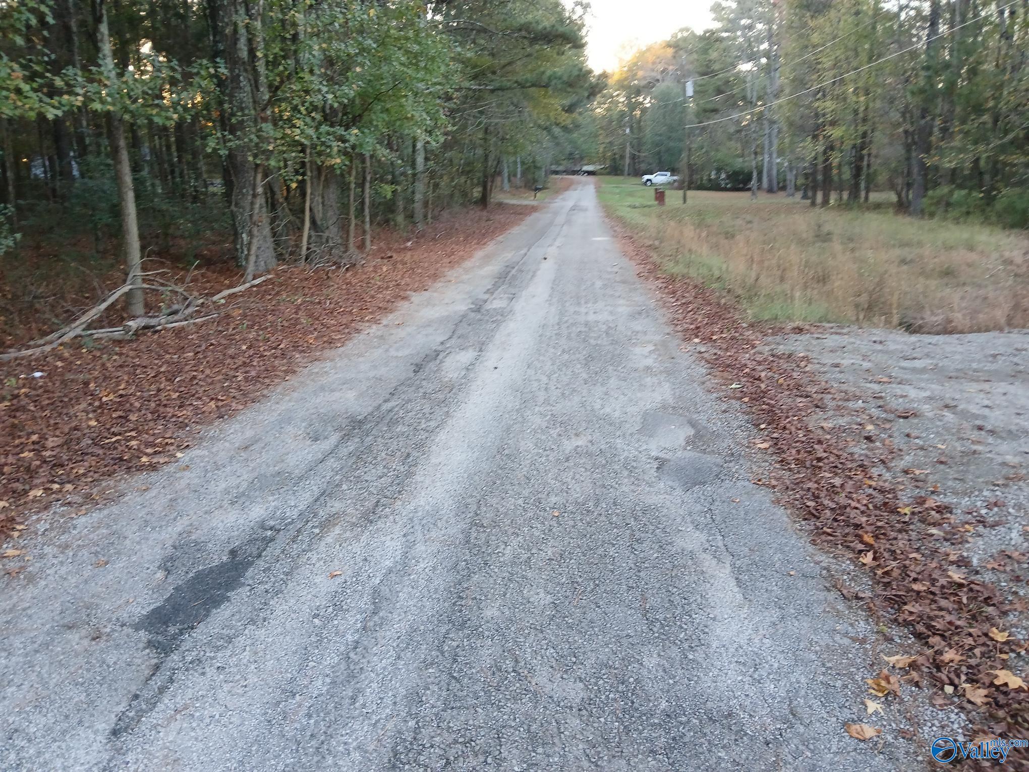 Lot 108 County Road 366, Trinity, Alabama image 4