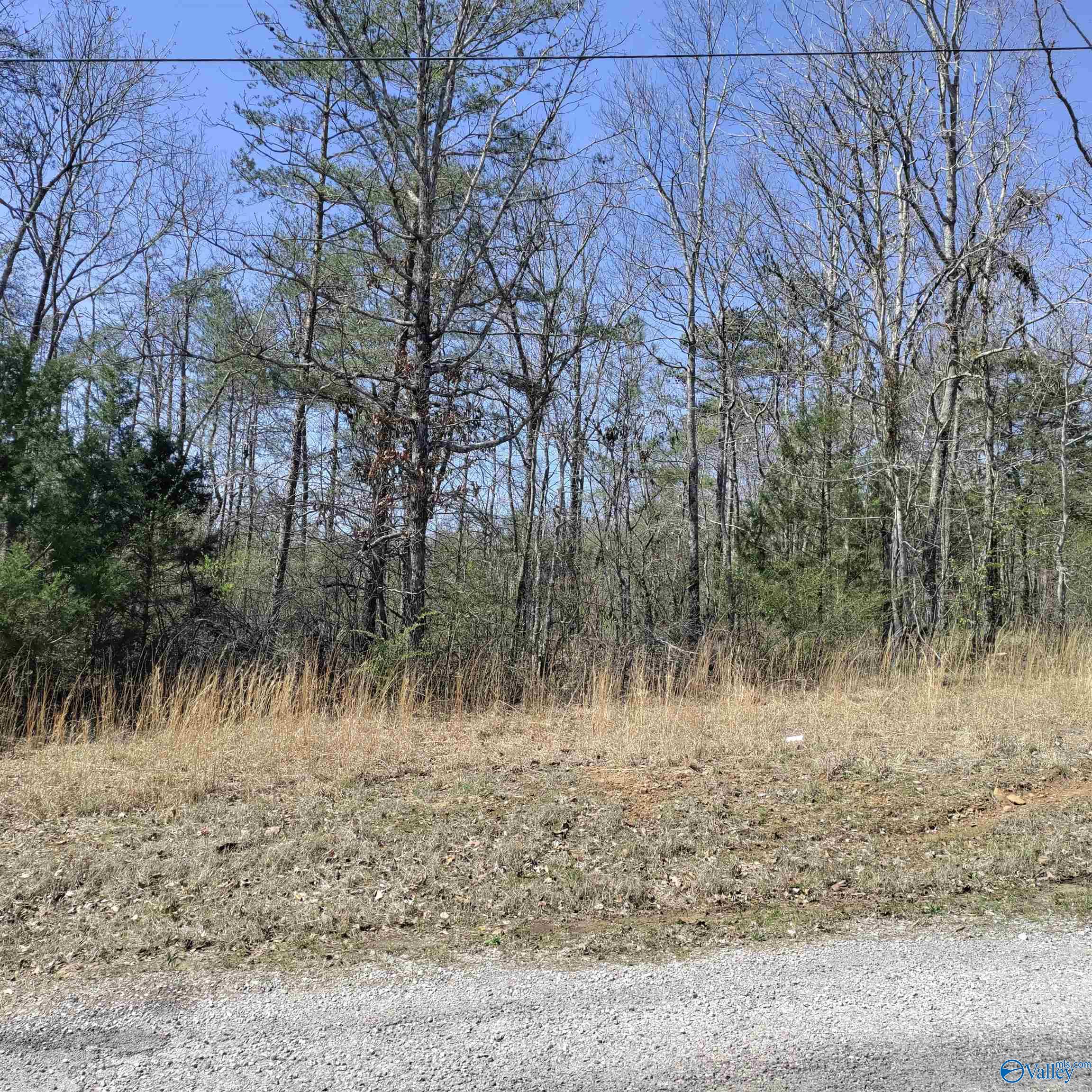 5.86 Acres Cottonwood Lane, Falkville, Alabama image 2