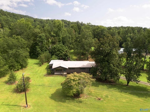 Homes For Sale - 9950 Alabama Highway 91<br/> Hanceville, AL 35077