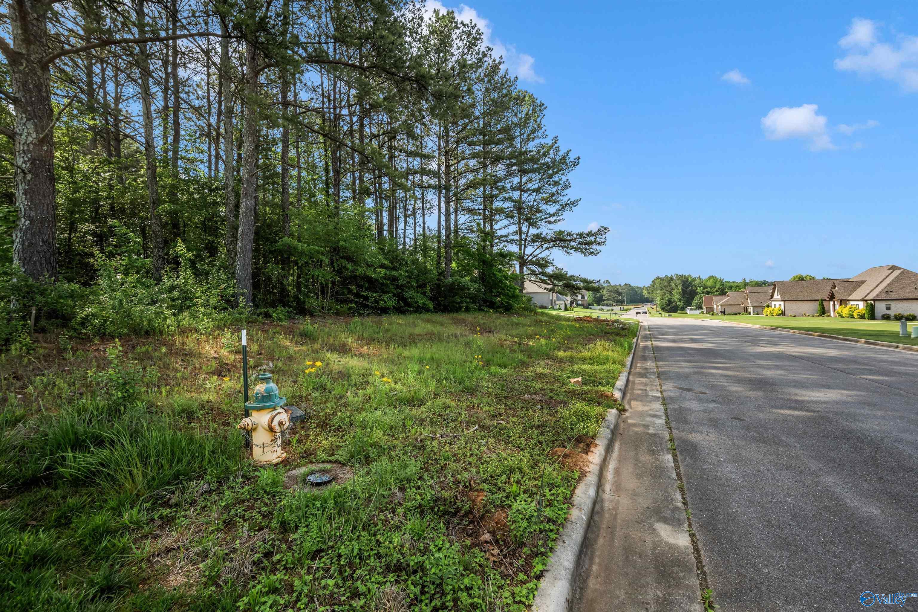 Lot 166 Capitol Hill Drive, Tanner, Alabama image 22