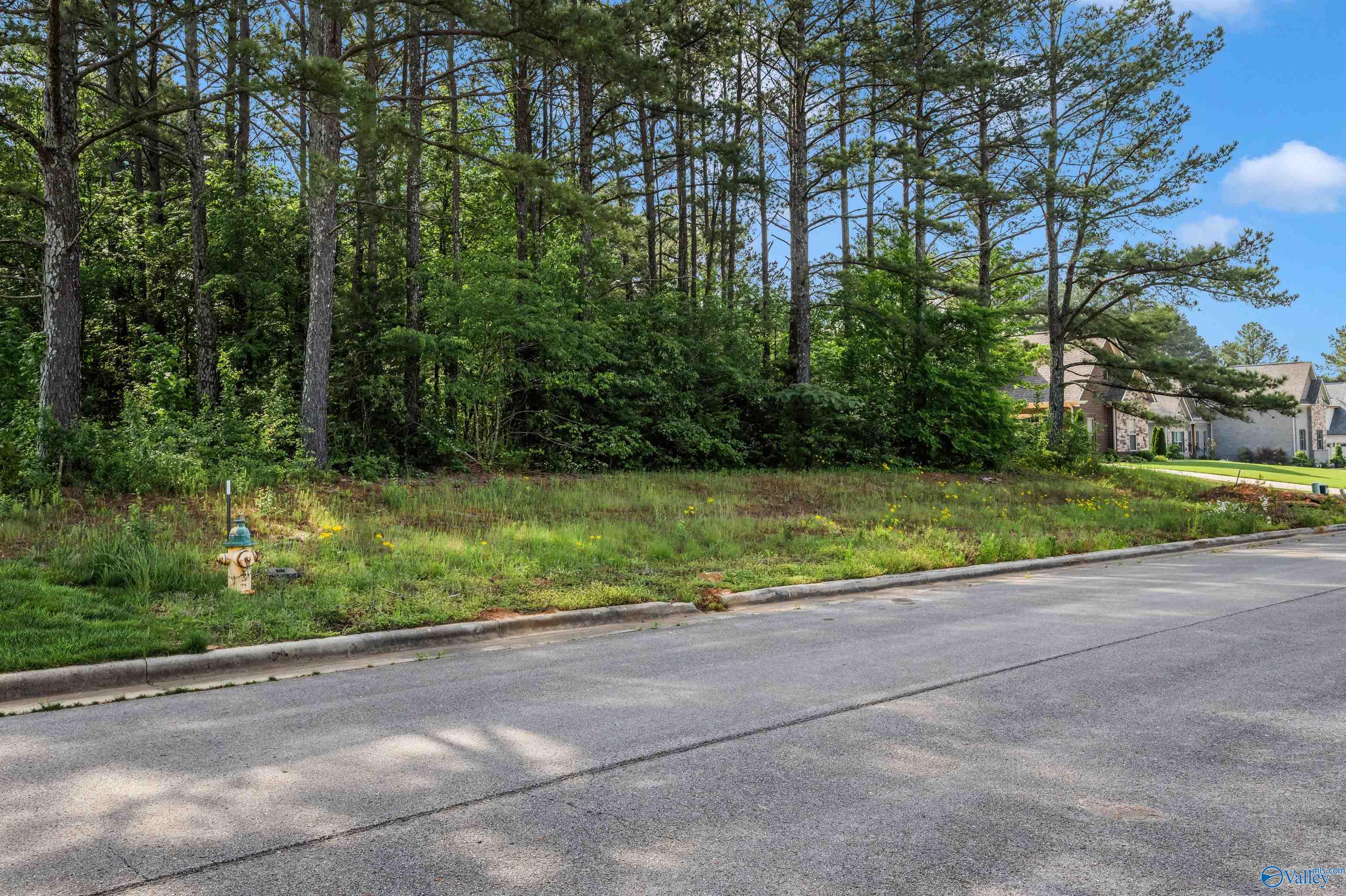 Lot 166 Capitol Hill Drive, Tanner, Alabama image 16