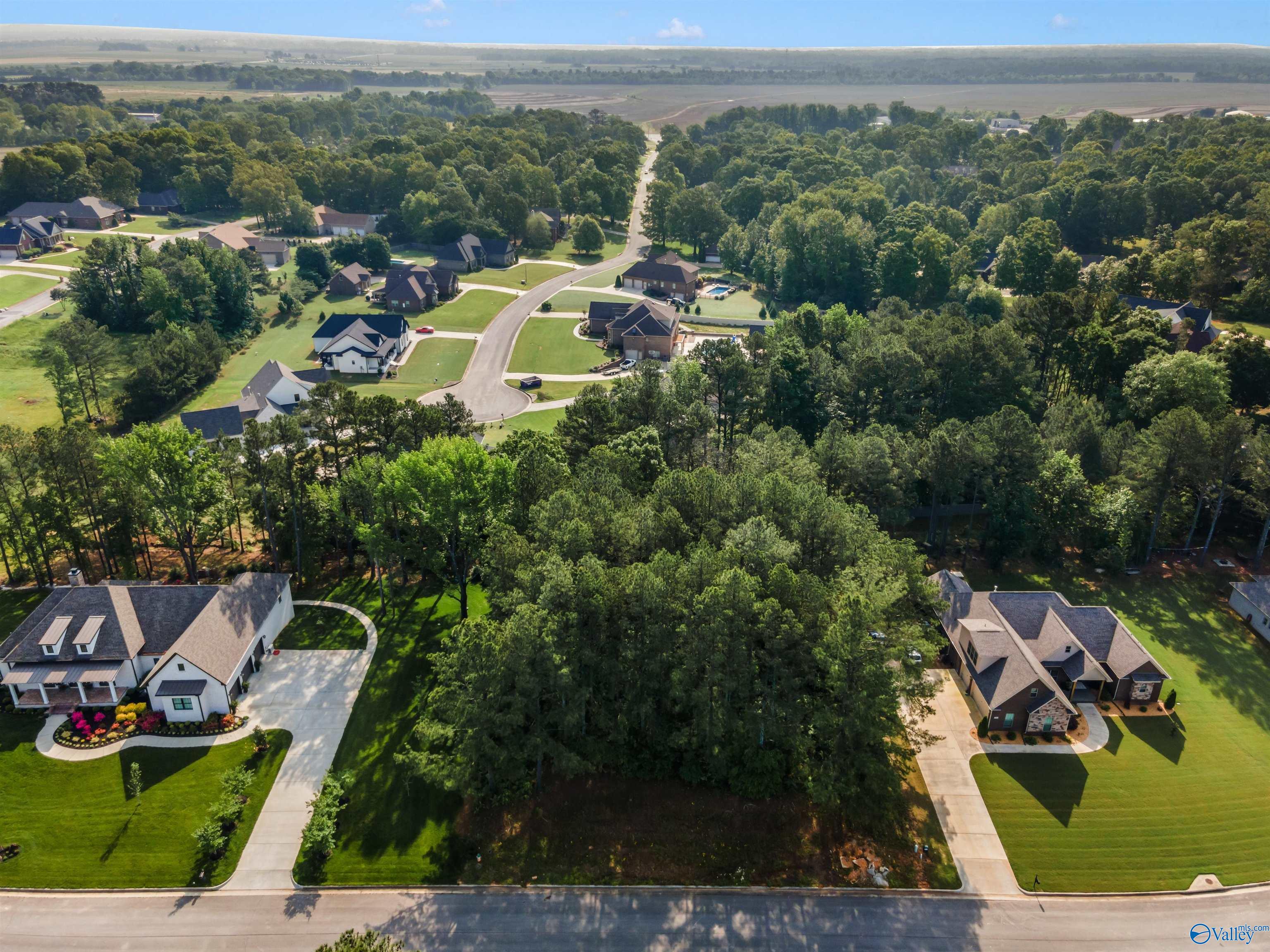 Lot 166 Capitol Hill Drive, Tanner, Alabama image 15