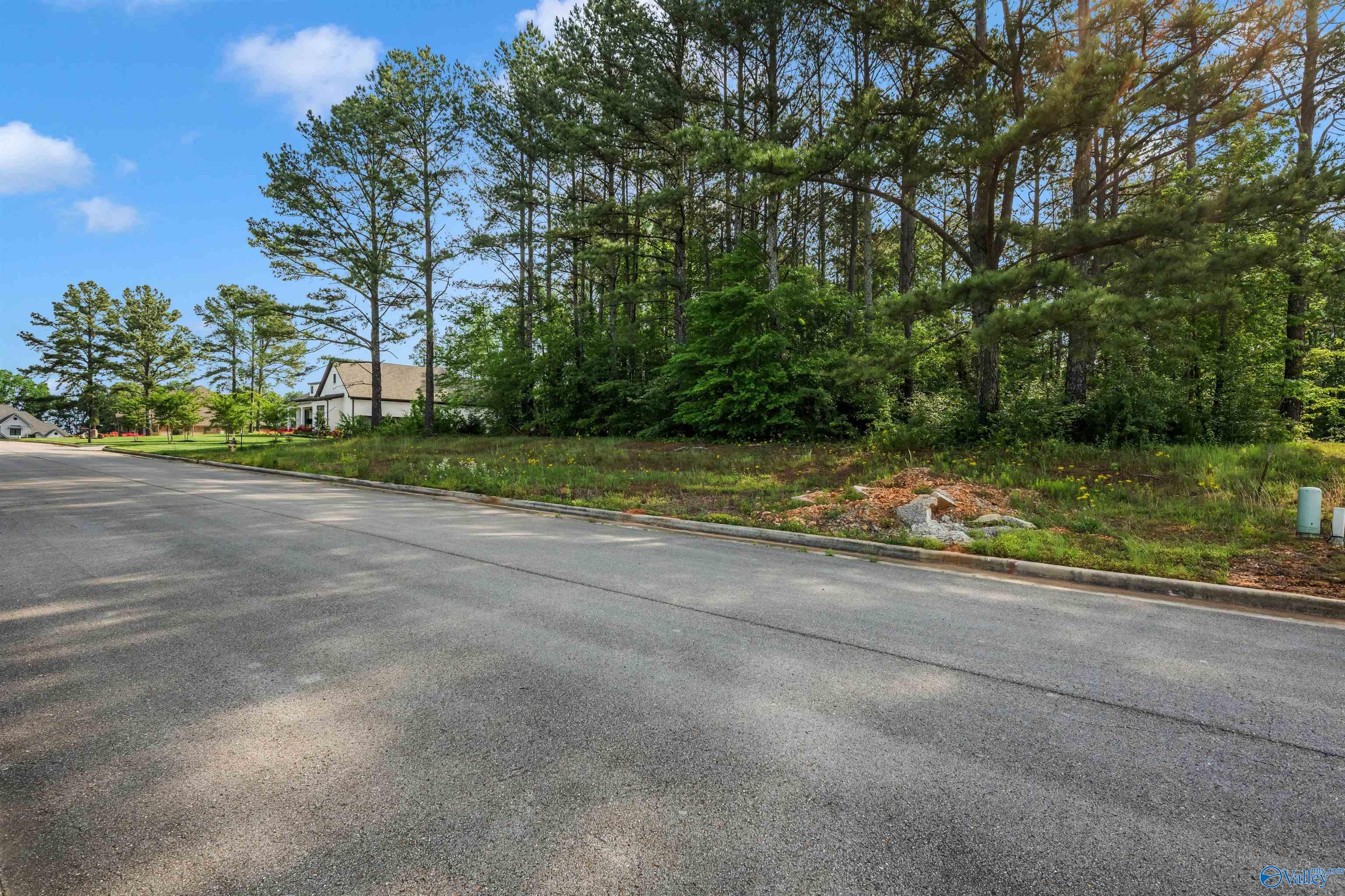 Lot 166 Capitol Hill Drive, Tanner, Alabama image 18