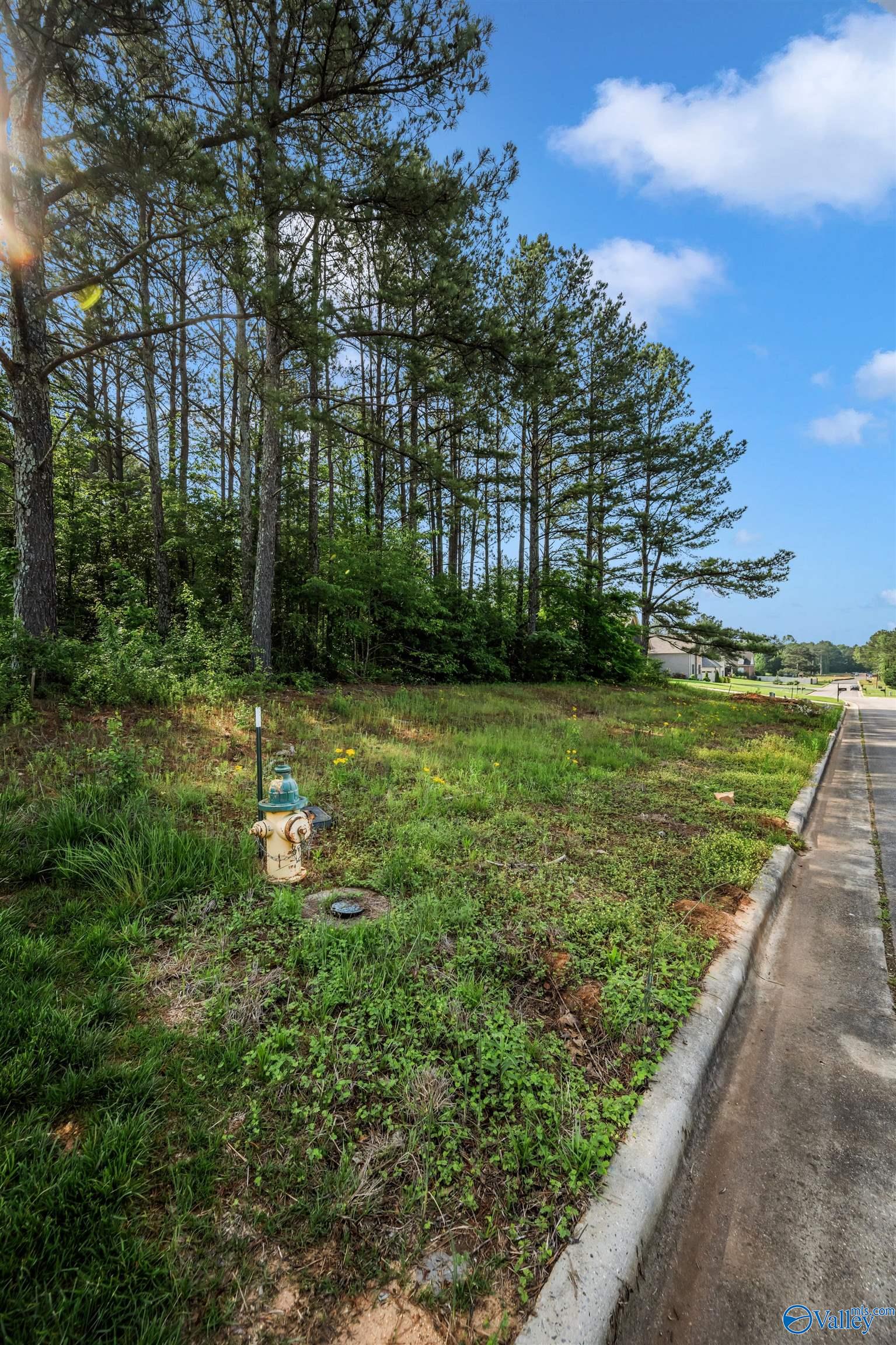 Lot 166 Capitol Hill Drive, Tanner, Alabama image 23