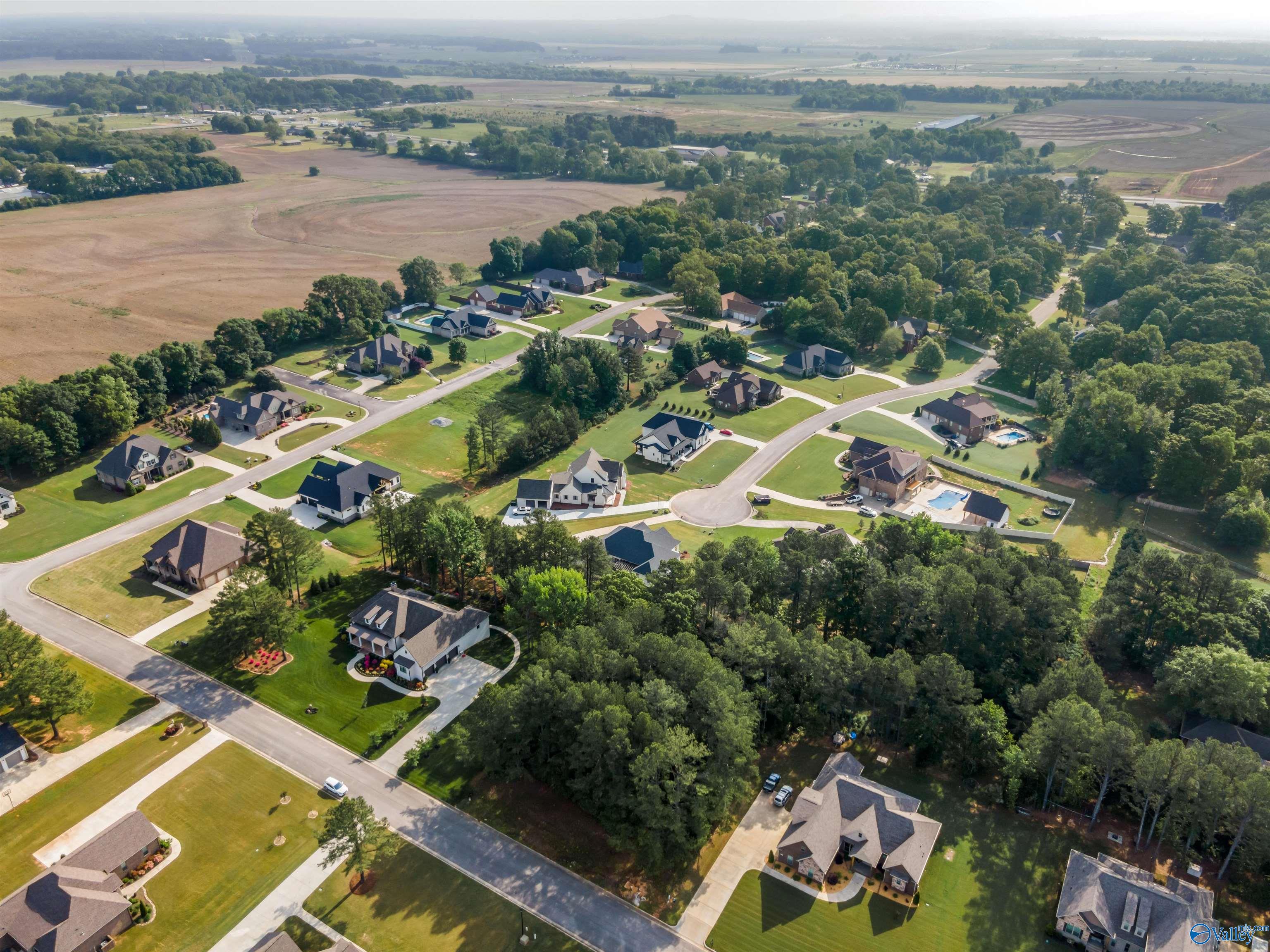 Lot 166 Capitol Hill Drive, Tanner, Alabama image 2