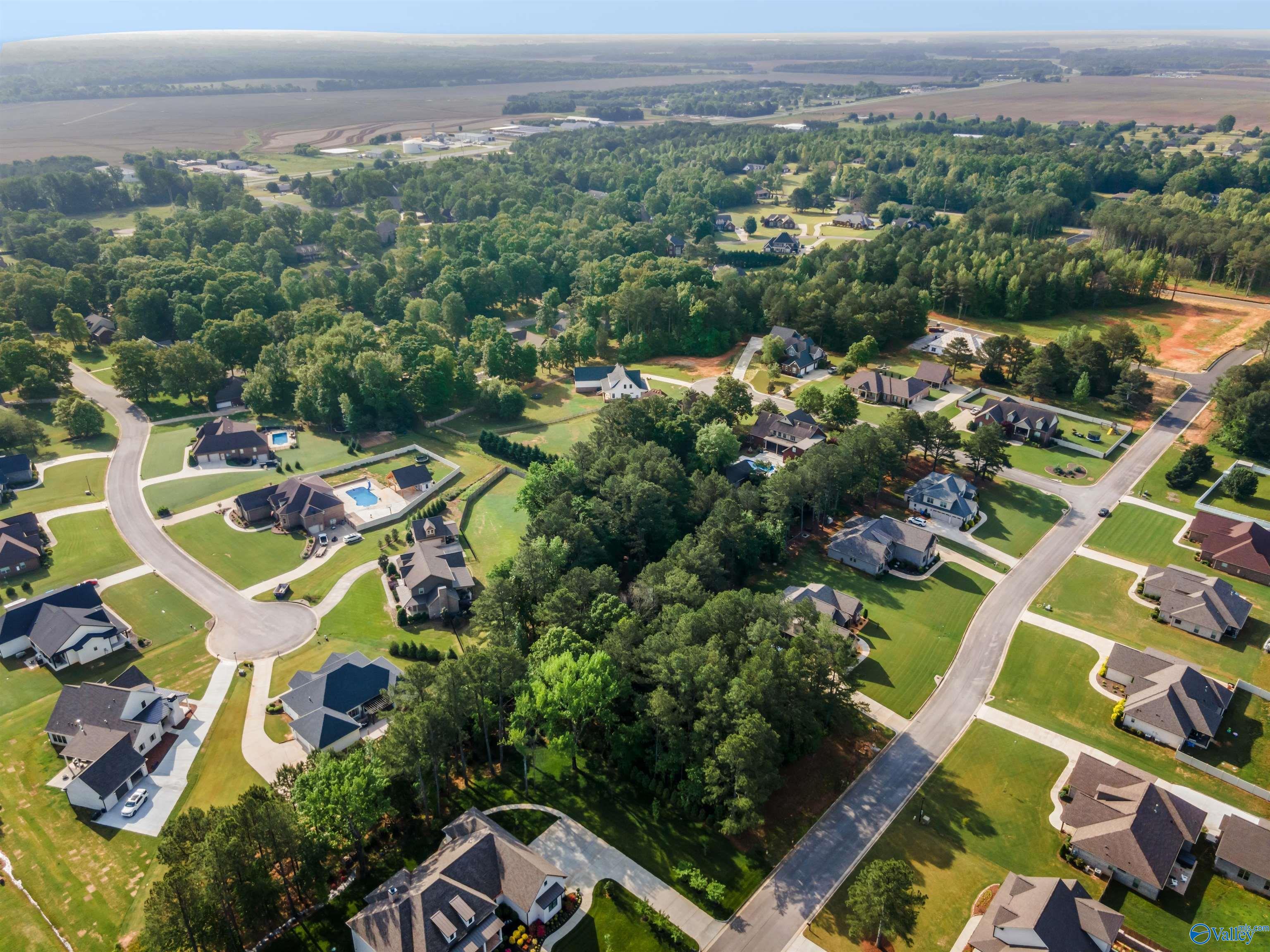 Lot 166 Capitol Hill Drive, Tanner, Alabama image 12