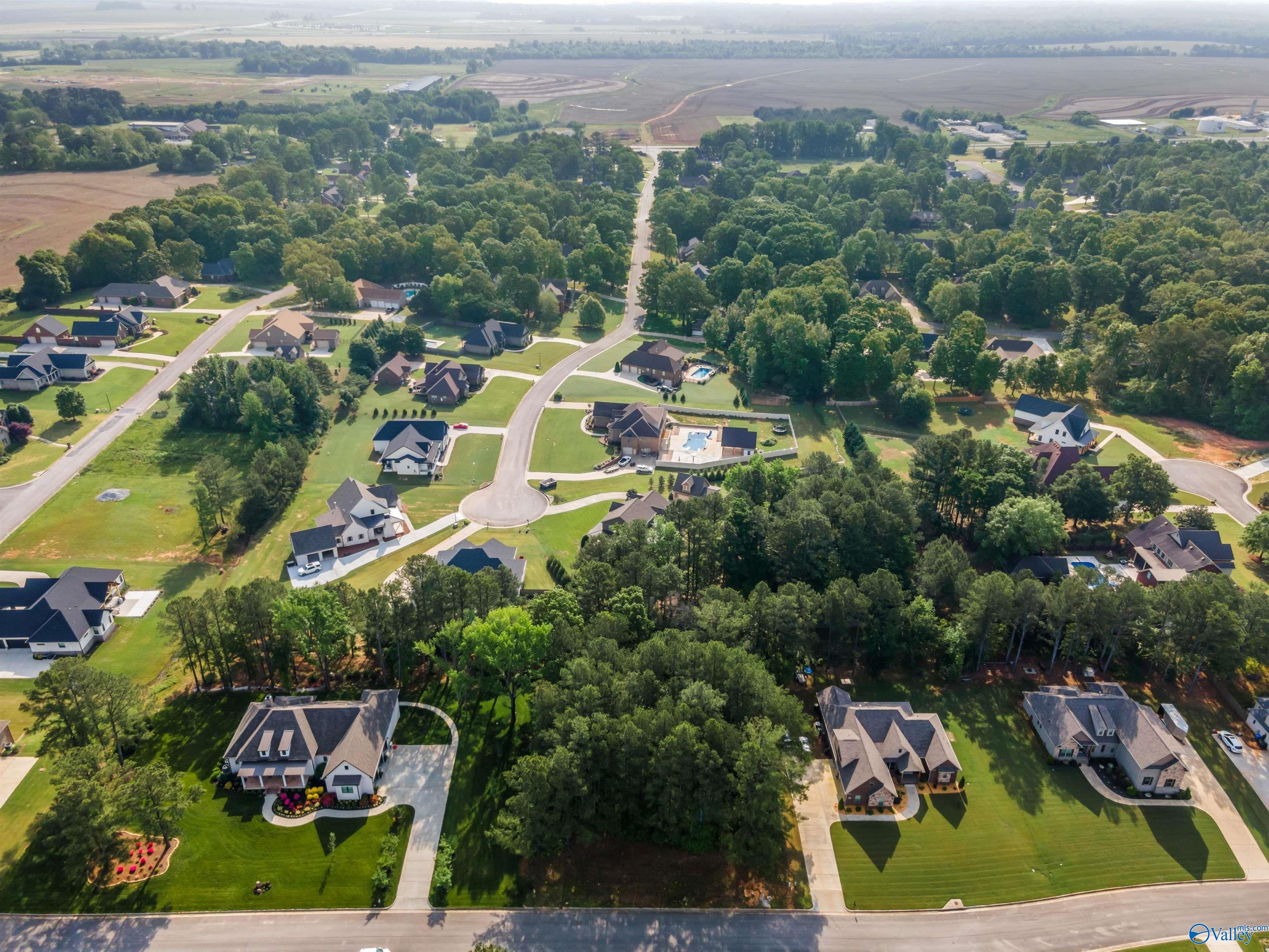Lot 166 Capitol Hill Drive, Tanner, Alabama image 1