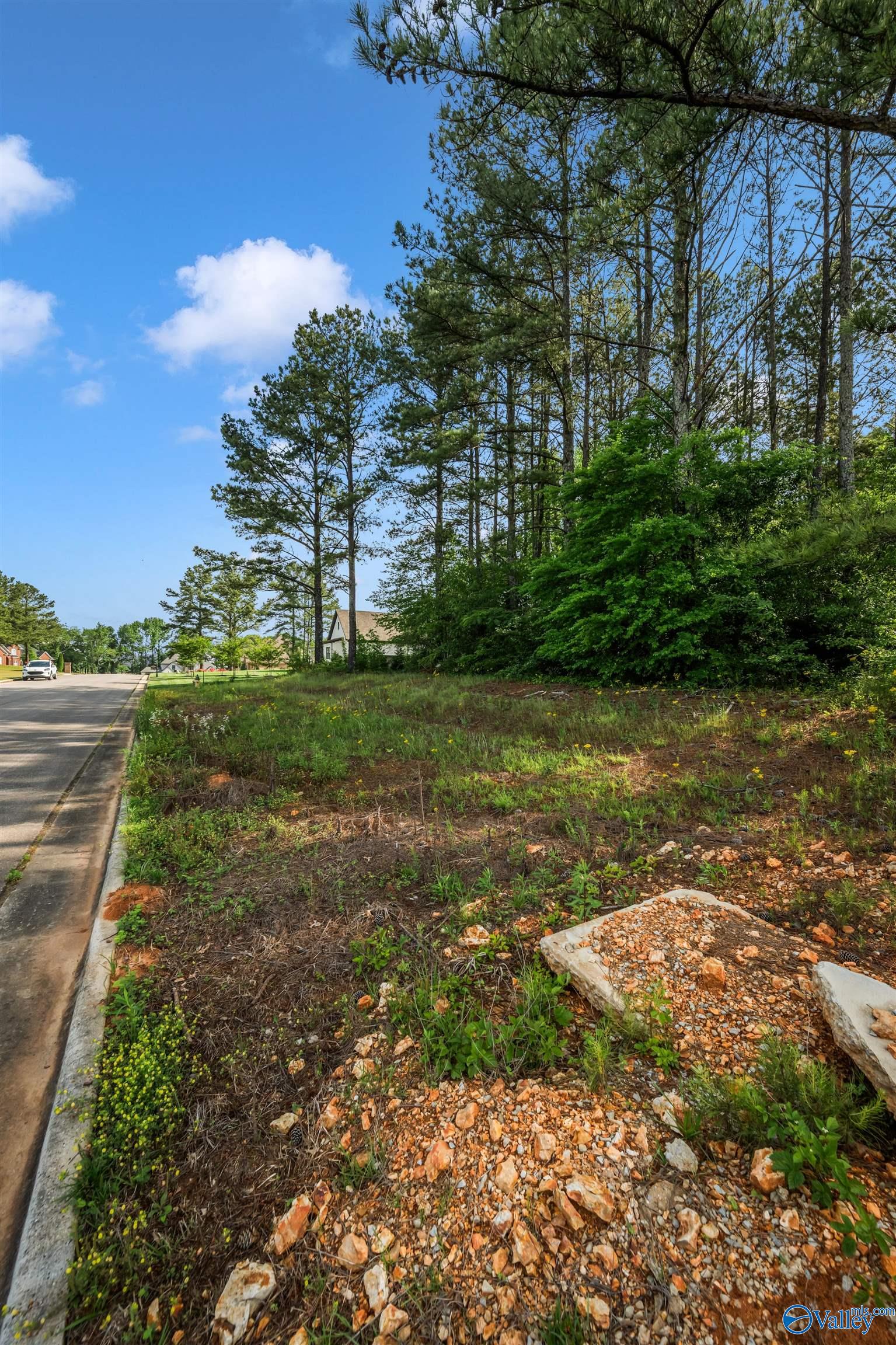 Lot 166 Capitol Hill Drive, Tanner, Alabama image 21