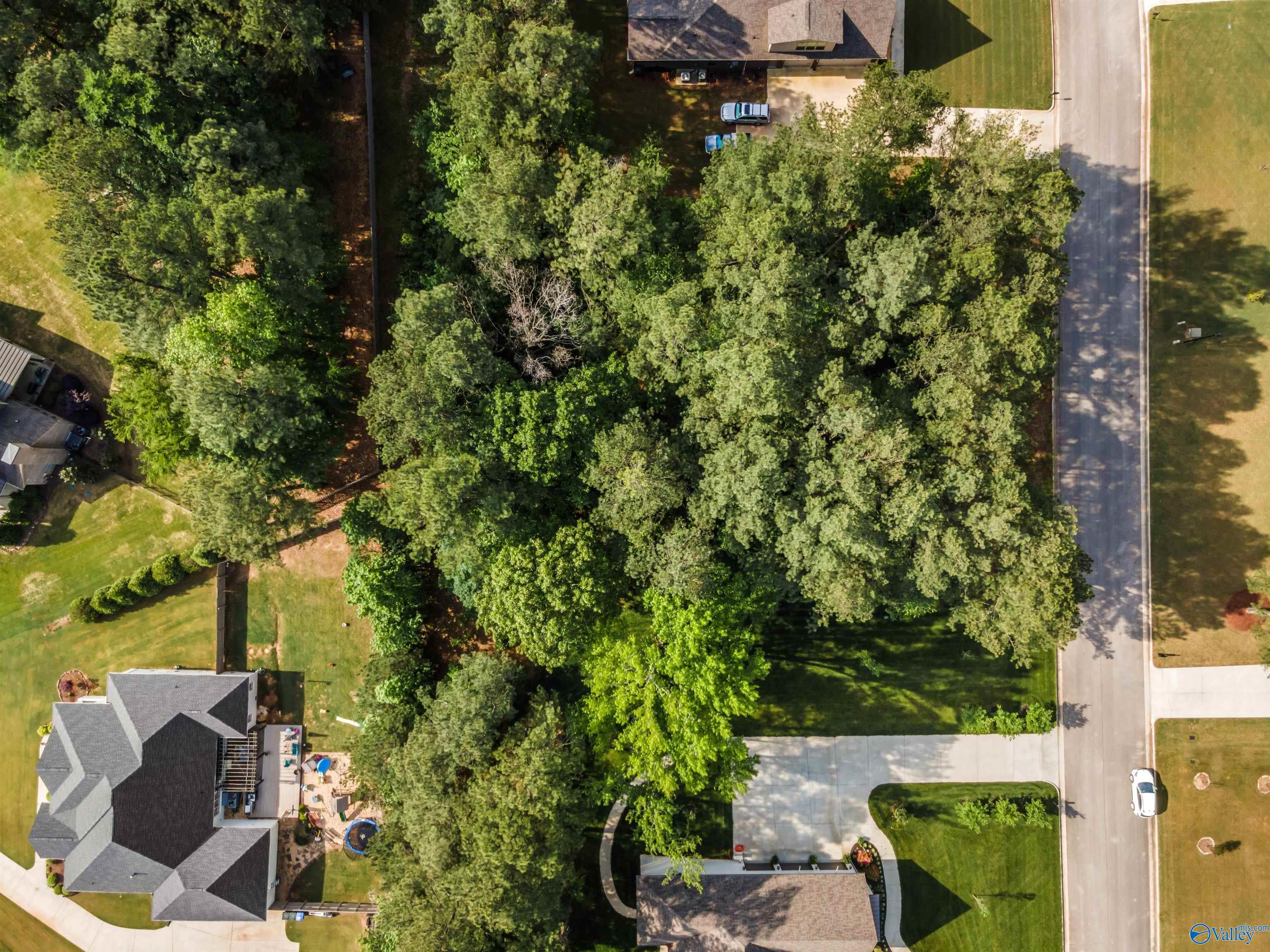 Lot 166 Capitol Hill Drive, Tanner, Alabama image 14