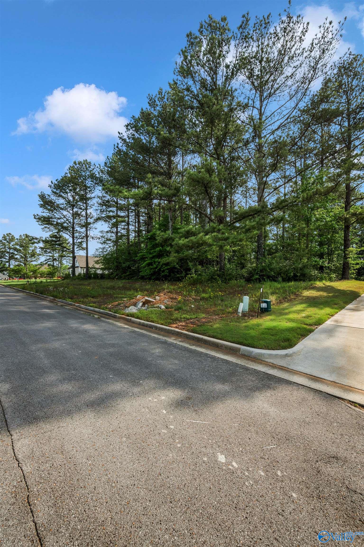 Lot 166 Capitol Hill Drive, Tanner, Alabama image 19
