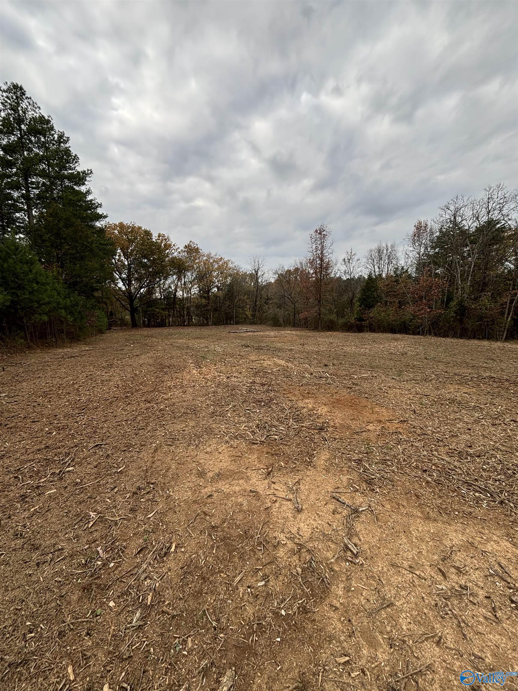 10 Acres County Road 59, Moulton, Alabama image 1