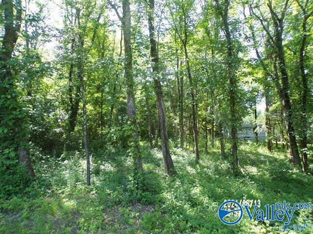 .31 Ac Lot Hackberry Lane, Hokes Bluff, Alabama image 1