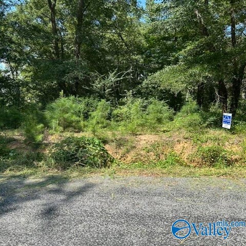 Vacant Land For Sale - LOT 10 Dry Creek Road<br/> Blount County, Cleveland, AL 35049