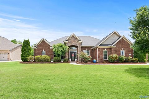 Photo of 16132 Chowning Drive, Harvest, AL 35749 (MLS # 21916909)