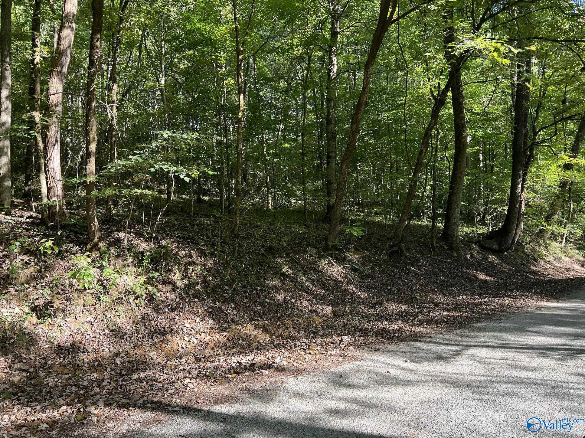 002 And 003 Chapman Hollow Road, Elkmont, Alabama image 7